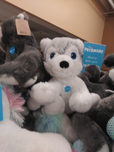 Pet Supply Store «PetSmart», reviews and photos, 4200 Derry St, Harrisburg, PA 17111, USA