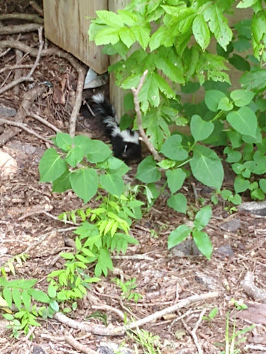 Raft Trip Outfitter «Little Ponderosa River Otfttrs», reviews and photos, 2001 Ponderosa Dr, New Braunfels, TX 78132, USA