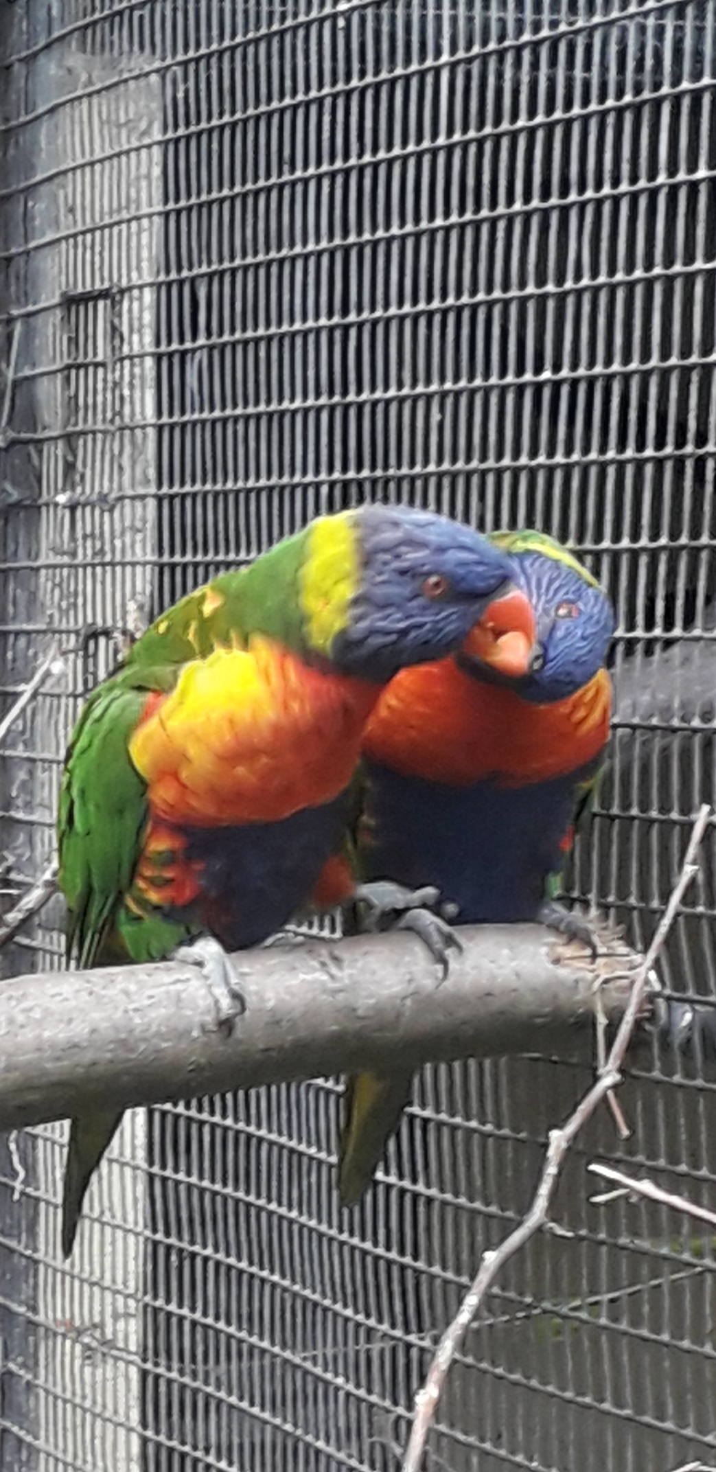 Photo n° 33 de l'avis de lilou.i fait le 19/09/2020 à 16:48