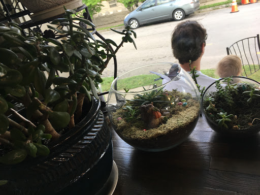 Coffee Shop «Safai Cafe», reviews and photos, 1707 Bardstown Rd, Louisville, KY 40205, USA