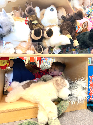 Toy Store «Island Treasure Toys Yarmouth», reviews and photos, 805 US-1, Yarmouth, ME 04096, USA