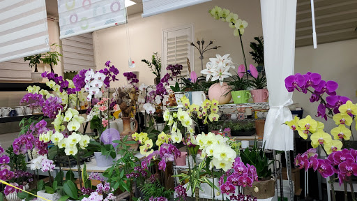 Asian Grocery Store «Westminster Superstore Supermarket Thuận Phát», reviews and photos, 15440 Beach Blvd #123, Westminster, CA 92683, USA