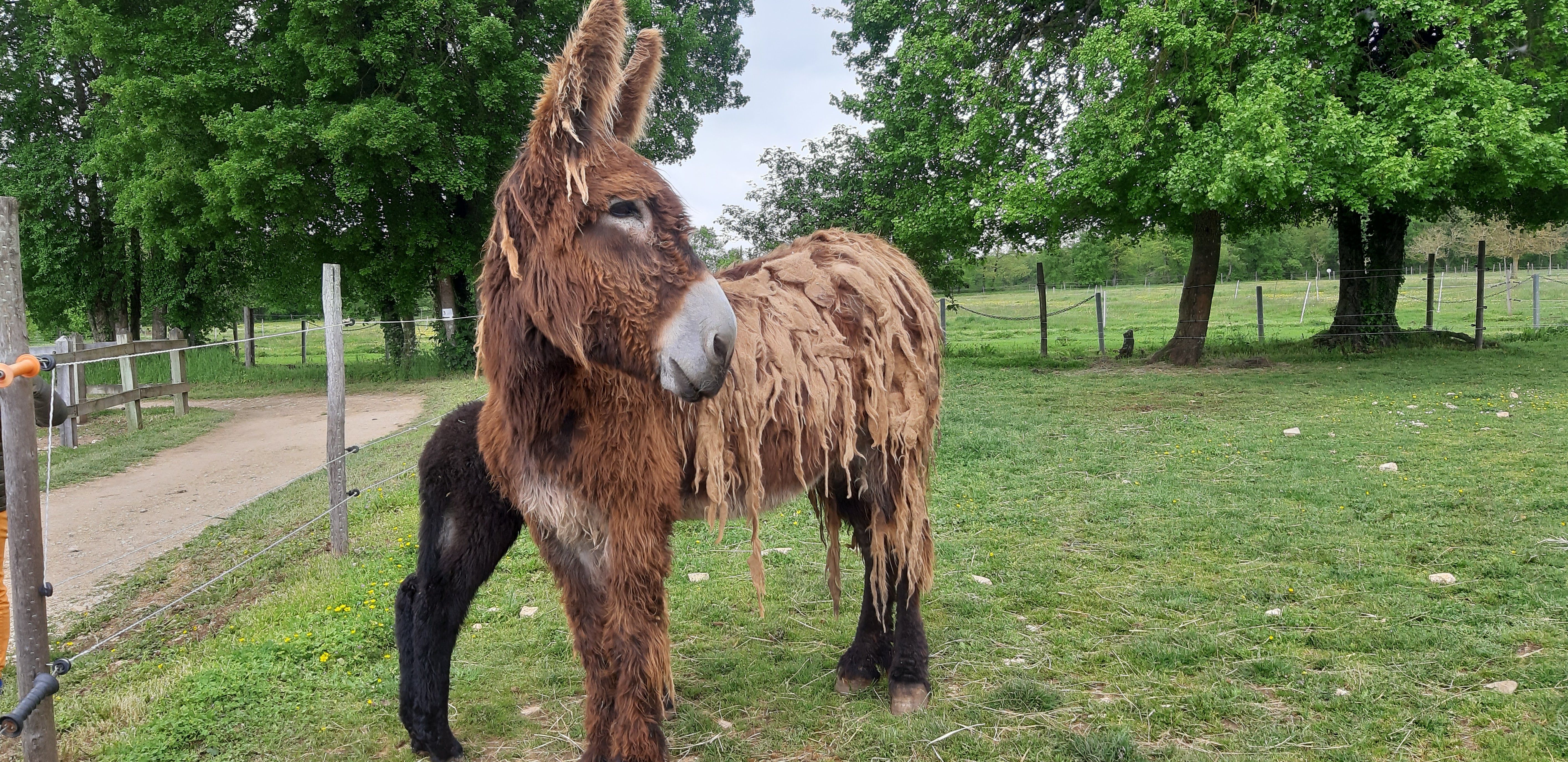 Photo n° 2 de l'avis de anne.h fait le 28/04/2019 à 19:20