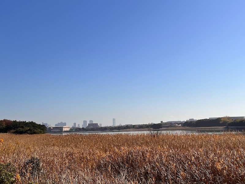 観察デッキ１（谷津干潟公園）