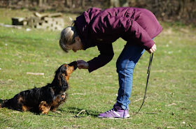 Seca's hundecenter - Hundetræning