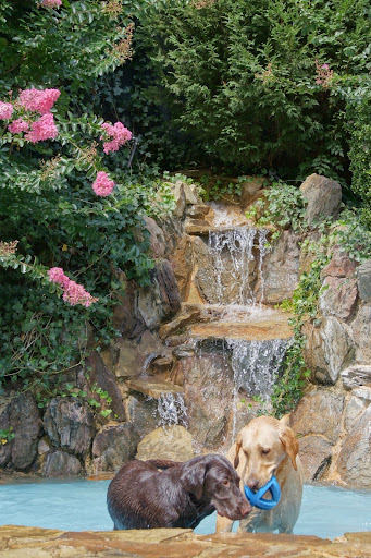 Pet Boarding Service «About Pets Center», reviews and photos, 1604 Conehurst Blvd, Salem, VA 24153, USA