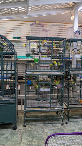 Pet Store «Discount Pet & Supplies», reviews and photos, 16320 Middlebelt Rd, Livonia, MI 48154, USA