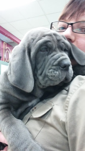 Shopping Mall «Sun Ray Shopping Center», reviews and photos, 2089 Old Hudson Rd, St Paul, MN 55119, USA