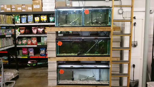 Pet Store «Dog Patch Pet & Feed», reviews and photos, 1108 E Ogden Ave, Naperville, IL 60563, USA