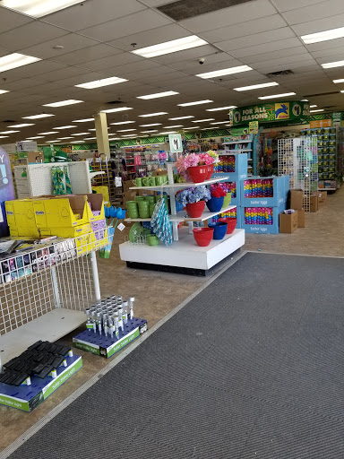 Dollar Store «Dollar Tree», reviews and photos, 13477 Hall Rd, Utica, MI 48315, USA