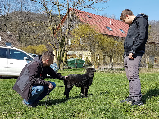 Animal hostel Donzdorf e. V. unter Donzdorf, Baden Württemberg