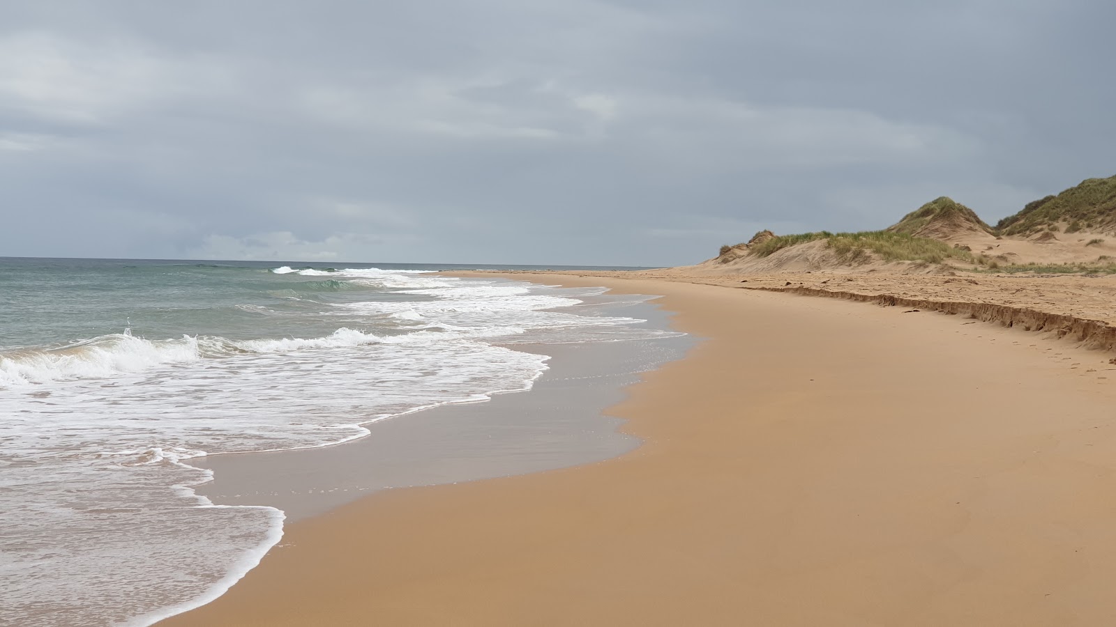 Photo of Rattray Beach with long straight shore