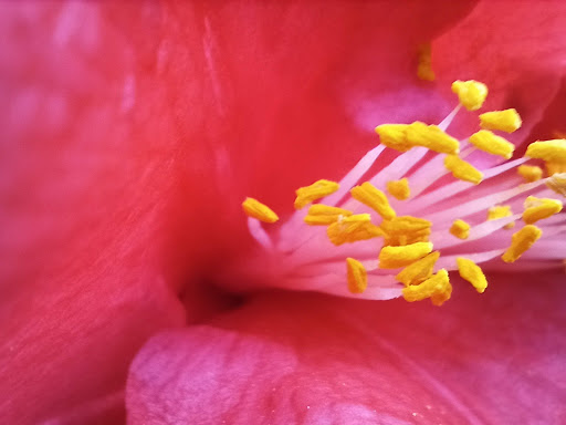 Shopping Mall «Clayton Valley Shopping Center», reviews and photos, 5424 Ygnacio Valley Rd, Concord, CA 94521, USA