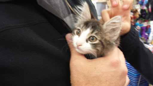 Pet Supply Store «Pet Food Warehouse, Ltd.», reviews and photos, 2455 Shelburne Rd, Shelburne, VT 05482, USA