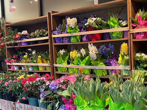 Grocery Store «Natural Market», reviews and photos, 7256 Austin St, Flushing, NY 11375, USA