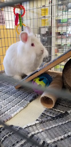 Pet Supply Store «Petsense Wilmington», reviews and photos, 4310 Shipyard Blvd #103, Wilmington, NC 28403, USA