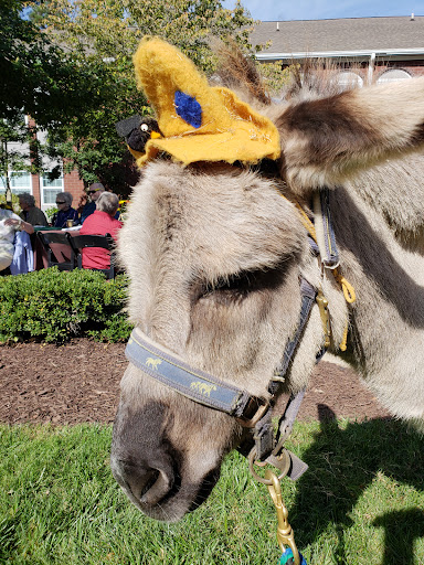 Pony Ride Service «Animals Unlimited LLC est 1996 travelling petting zoo/pony rides/travelling exotic animal programs .», reviews and photos, 16805 Mountain Rd, Montpelier, VA 23192, USA