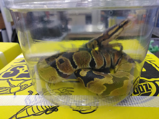 Pet Supply Store «Pet Supplies Plus», reviews and photos, 120 Sara Way, Belle Vernon, PA 15012, USA