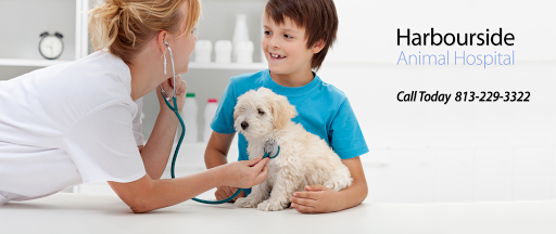 1112 Channelside Dr #4, Tampa, FL 33602, USA