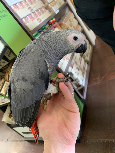 Pet Store «Carters Pet Mart», reviews and photos, 510 N Main St, Manteca, CA 95336, USA