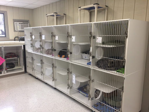 Leitchfield Animal Shelter