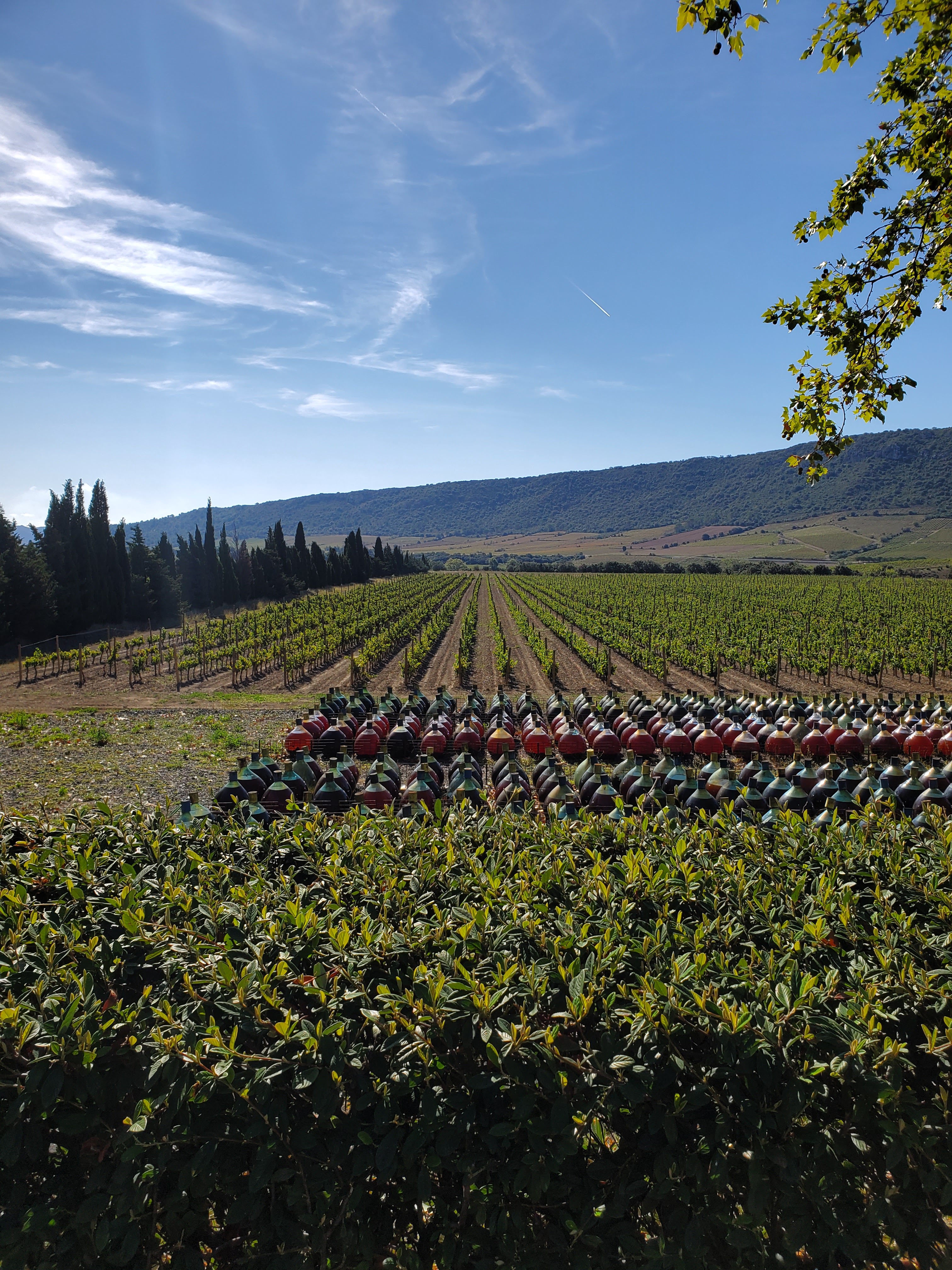 Photo n° 1 de l'avis de Jonatan.a fait le 28/09/2023 à 08:30