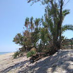 Photo n°4 de l'avis de Maria.r fait le 05/07/2018 à 09:33 sur le  Hotel Ristorante Rivamare à Marina di Massignano