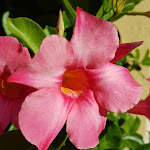 Photo n°2 de l'avis de Jiri.a fait le 21/09/2018 à 12:14 sur le  Serways Raststätte Haidt Süd à Kleinlangheim