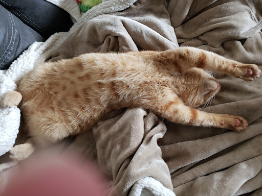 1716 US-160, West Plains, MO 65775, USA