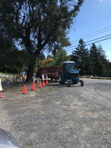 Produce Market «Parks Farms», reviews and photos, 525 NJ-24, Chester, NJ 07930, USA