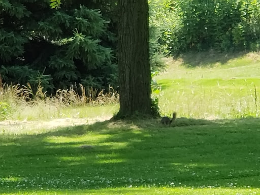 Golf Club «Cool Lake Golf Club», reviews and photos, 520 E 750 N, Lebanon, IN 46052, USA