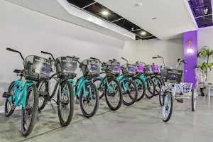 Bae's Bike Rentals image