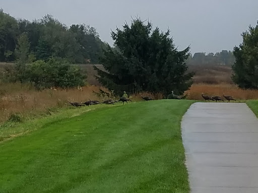 Country Club «Macatawa Legends Pro Shop», reviews and photos, 4600 Macatawa Legends Blvd, Holland, MI 49424, USA