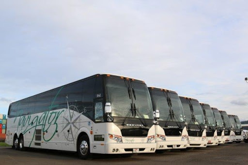 Night buses in Portland