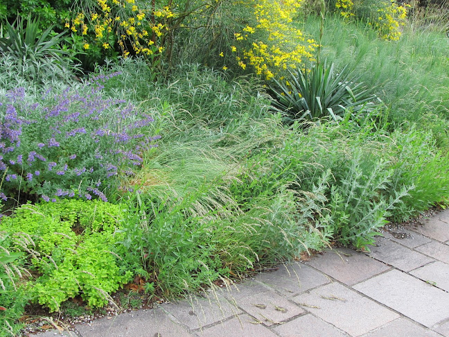 Kommentare und Rezensionen über Rüegg AG Garten- und Landschaftsbau