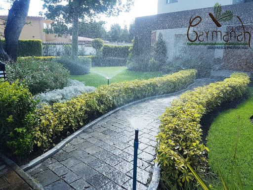 Carmanah Jardinería Profesional - Diseño - Mantenimiento - Jardines en Quito.