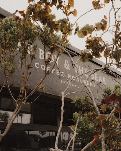 The Boy & The Bear - Coffee Roastery image