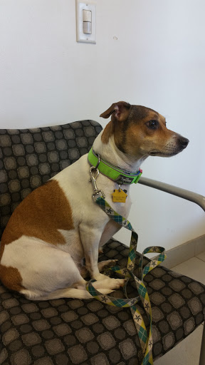 Chevrolet Dealer «Ed Bozarth Chevrolet Company, Inc. - Aurora Dealership», reviews and photos, 2001 S Havana St, Aurora, CO 80014, USA