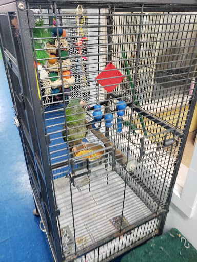 Tropical Fish Store «A Place For Pets Inc», reviews and photos, 431 SW 152nd St, Burien, WA 98166, USA