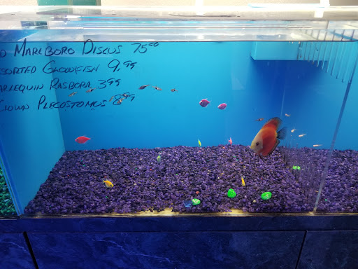 Pet Store «Ultimate Aquarium», reviews and photos, 217 W Main St, Visalia, CA 93291, USA