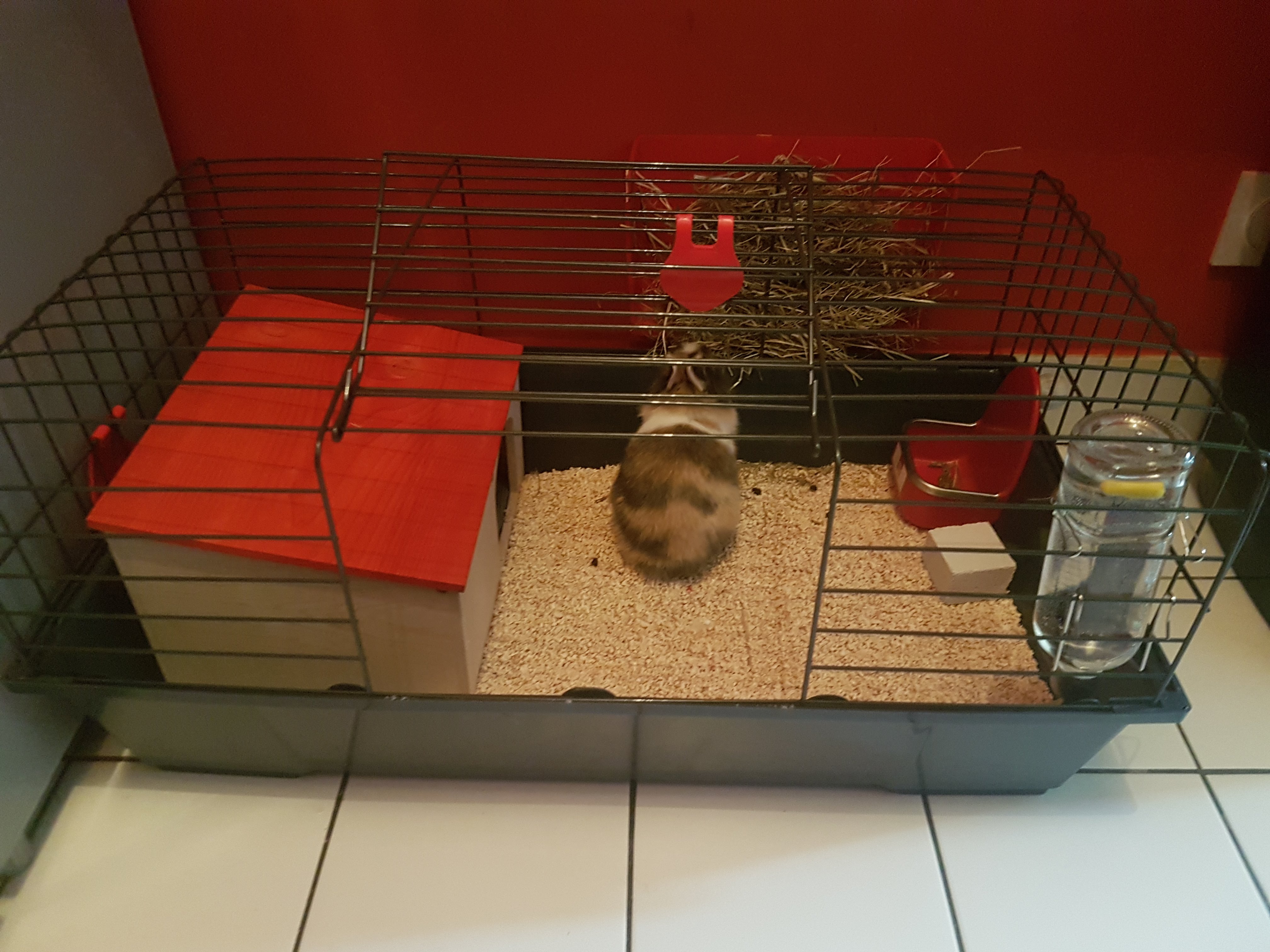 Photo n° 2 de l'avis de Maëlia.o fait le 12/05/2018 à 06:02