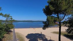 Plage Ste Eulalie en Born'in fotoğrafı geniş bir kıyı şeridi ile birlikte