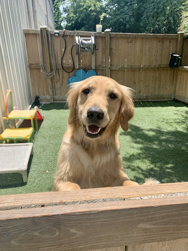 Pet Boarding Service «All About Pets», reviews and photos, 130 Arrow Rd #102, Hilton Head Island, SC 29928, USA