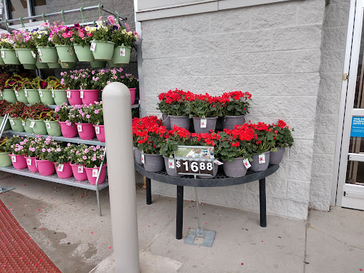 Department Store «Walmart Supercenter», reviews and photos, 1882 Holly St, Blair, NE 68008, USA