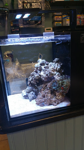 Pet Supply Store «Sea Level Aquarium», reviews and photos, 28 US-46, Pine Brook, NJ 07058, USA