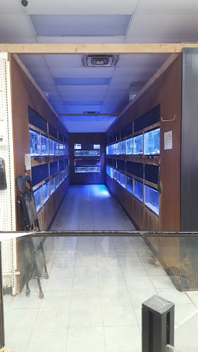 Pet Store «Inland Reef Pet Store», reviews and photos, 817 Cross Lanes Dr, Cross Lanes, WV 25313, USA