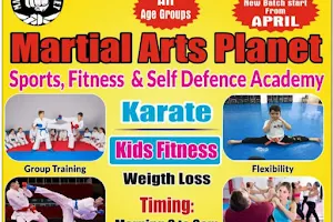Martial Arts Planet(self defence, fitness & Sports Academy) image