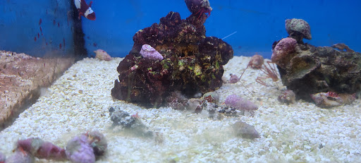 Pet Supply Store «Petco Animal Supplies», reviews and photos, 1 US-46, Totowa, NJ 07512, USA