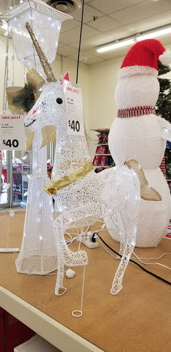 Discount Store «Big Lots», reviews and photos, 1241 Blakeslee Blvd Dr E, Lehighton, PA 18235, USA