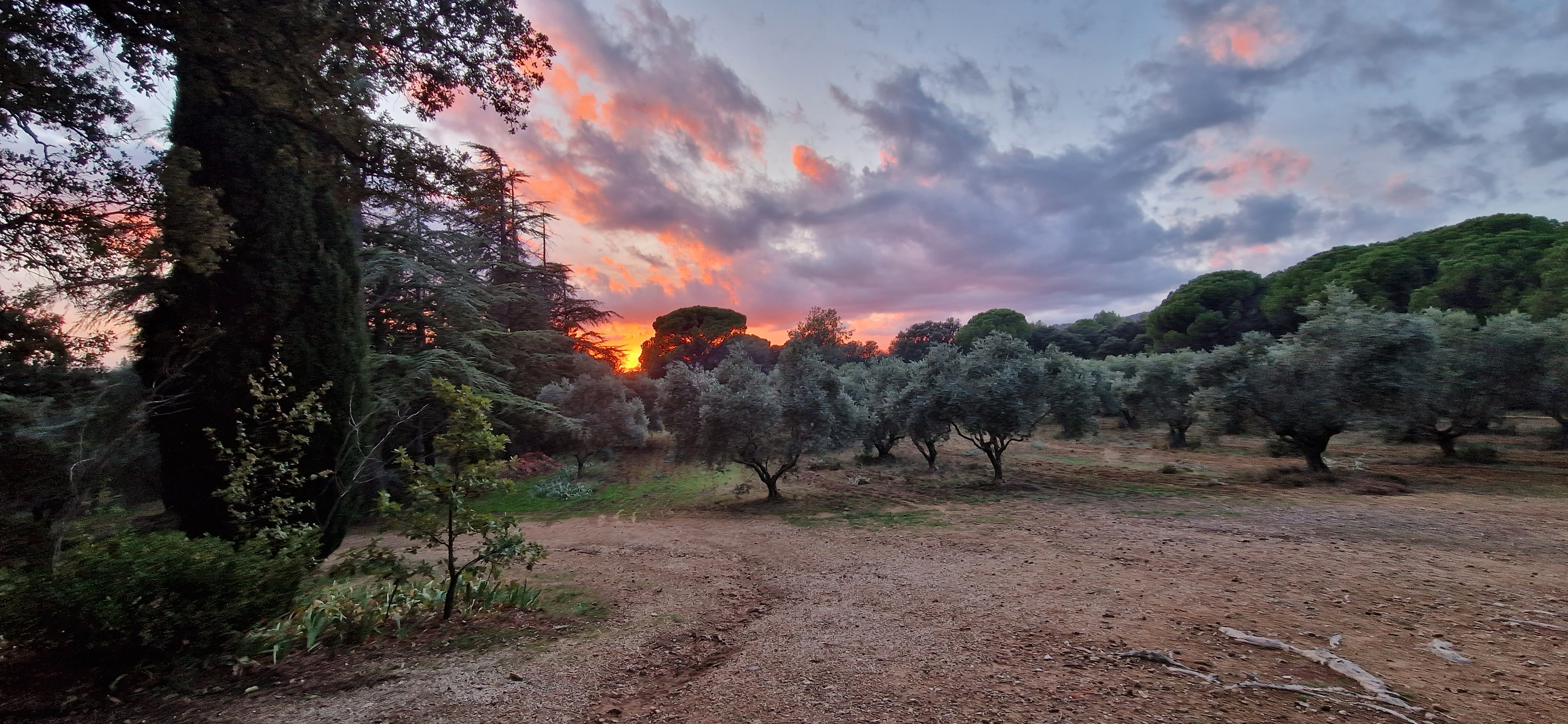 Photo n° 3 de l'avis de Barbara.t fait le 07/11/2023 à 16:39